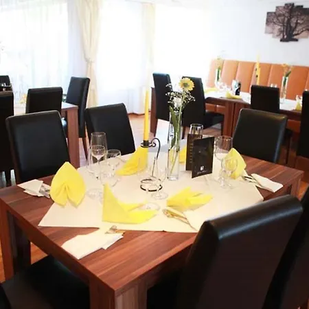 Wetterau Hotel 3*
